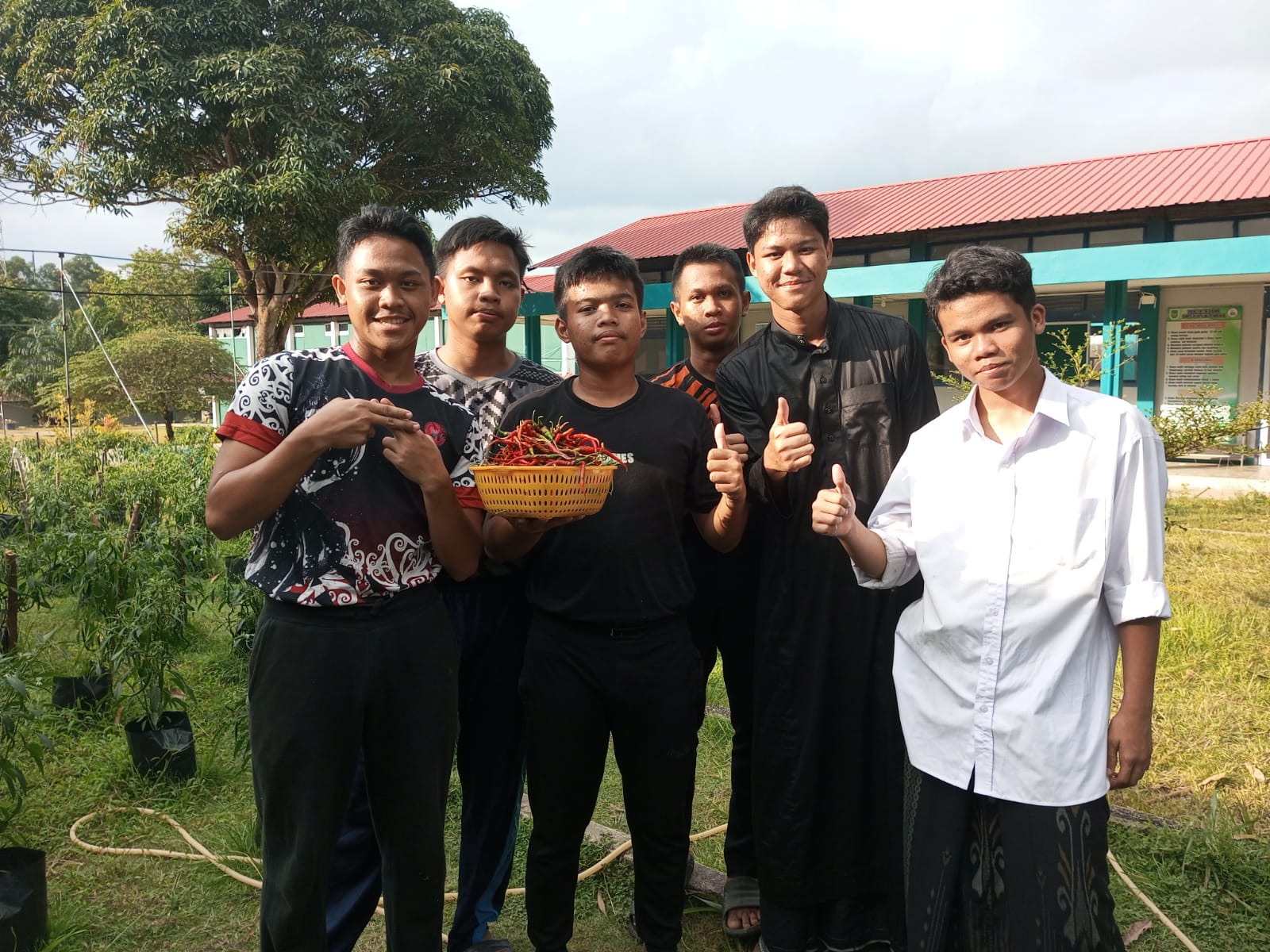 Panen Cabe Santri UIC: Hasil Kerja Keras dan Kebaikan