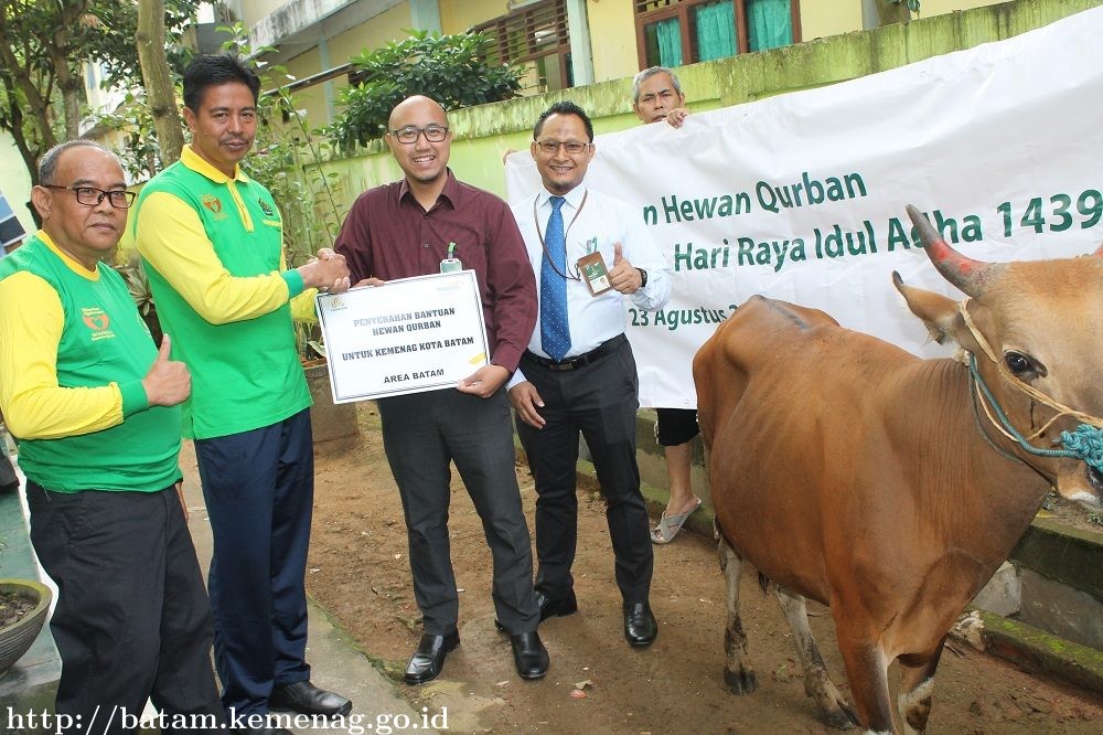 Pagi Ini BSM Cabang Batam Serahkan Hewan Qurban