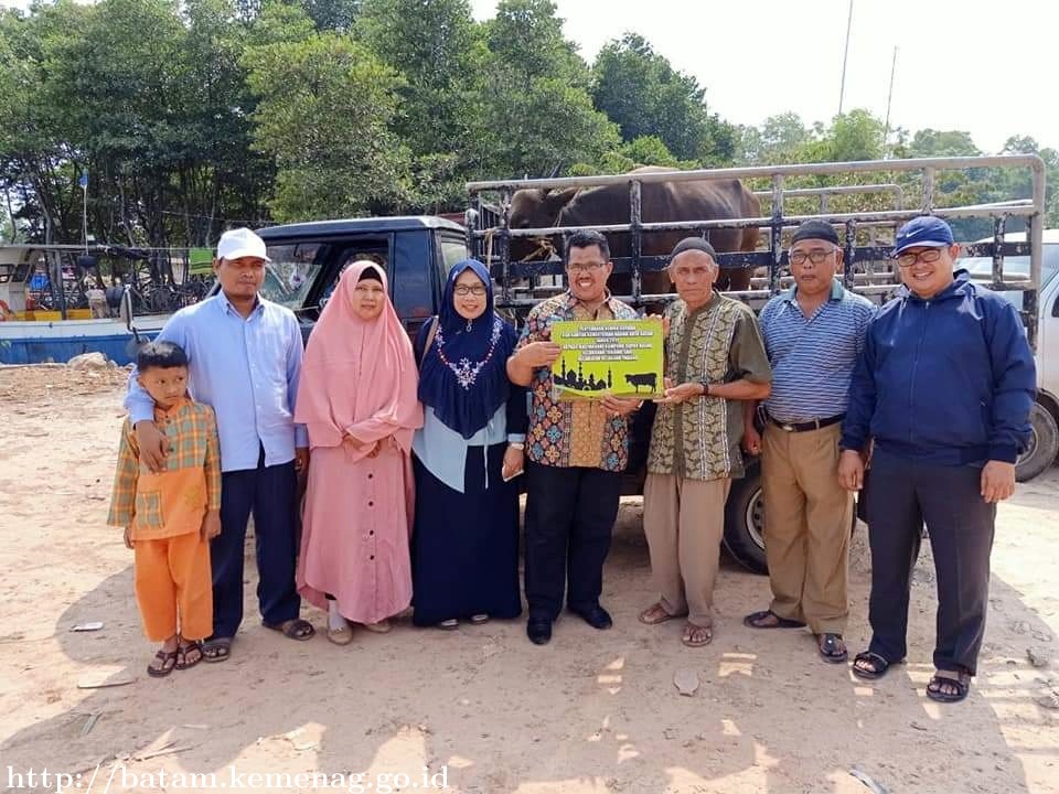 Kemenag Distribusikan 1 Ekor Sapi Ke Pulau