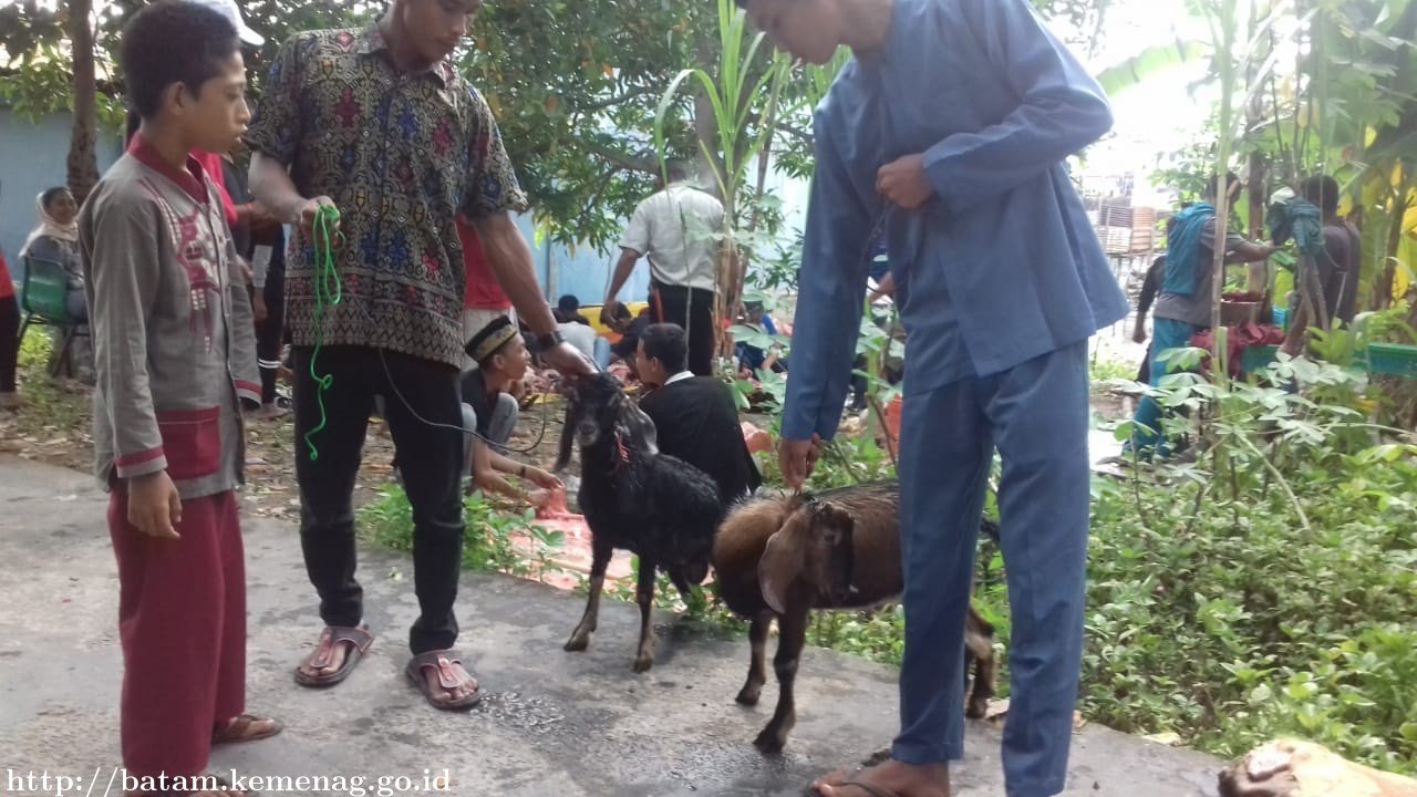 Kemenag Serahkan Hewan Qurban Untuk Masyarakat Dapur Arang Belakang Padang